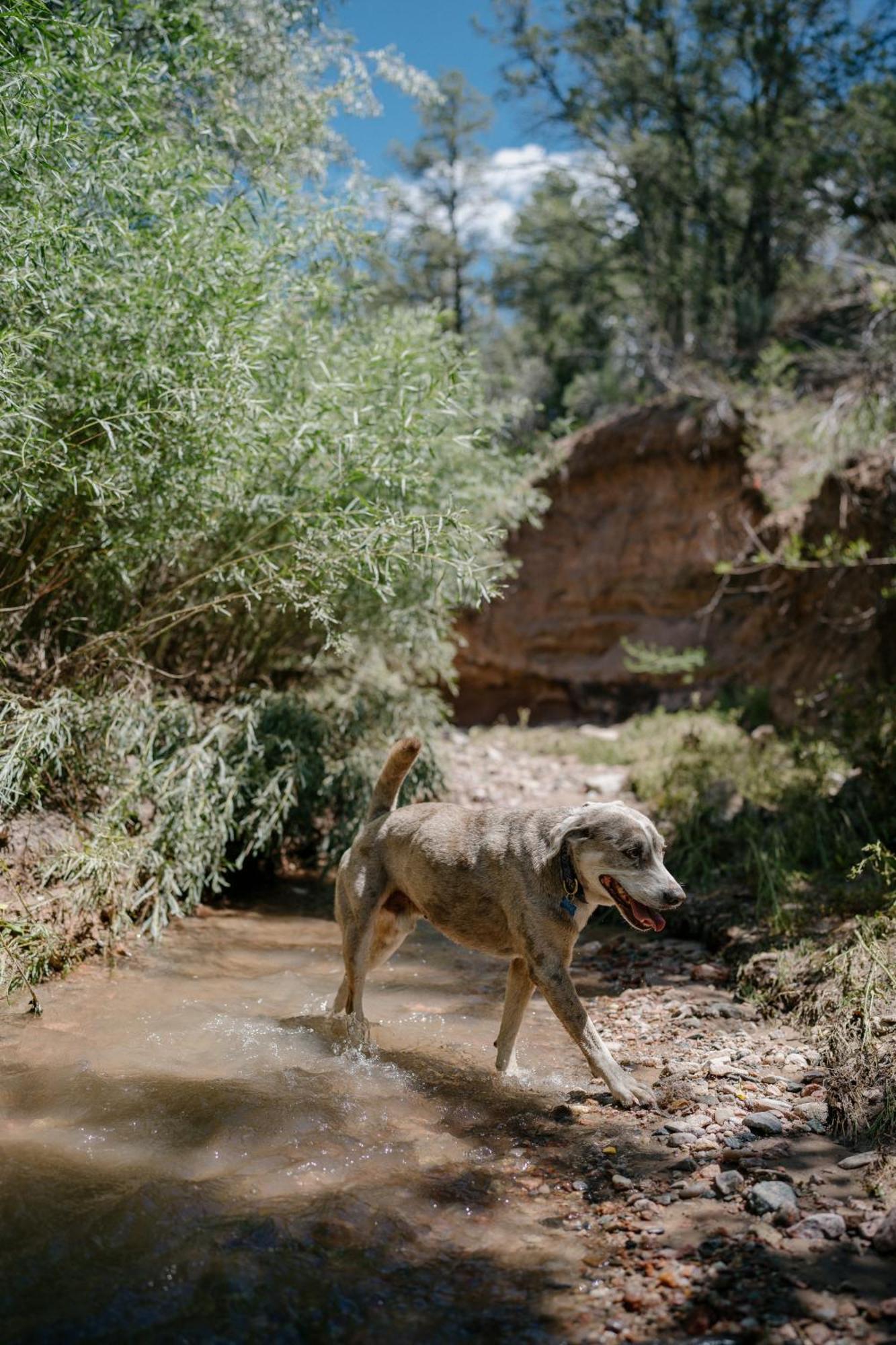 Holiday home Tesuque Outpost 3 Casitas Views In